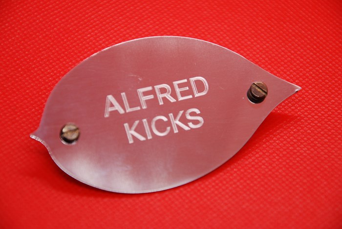 Alfred Kicks